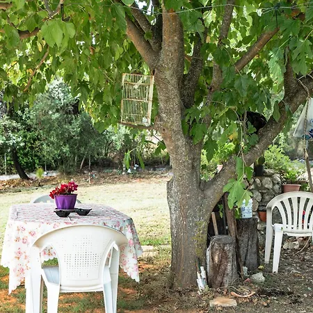 Efrosyni * Kefalonia Island